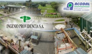 Visita tecnica ingenio providencia 2016